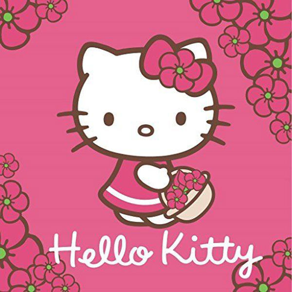 Magický uterák Hello Kitty 30/30