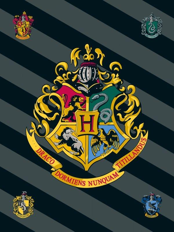 Fleece deka Harry Potter HP067 100/150
